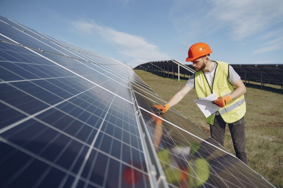 Vogelwering oplossingen voor zonnepanelen om schade en overlast te voorkomen.